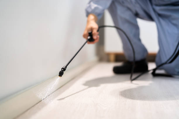 Bed Bug Pre-Treatment Preparation Assessment in Cherry Hills Village