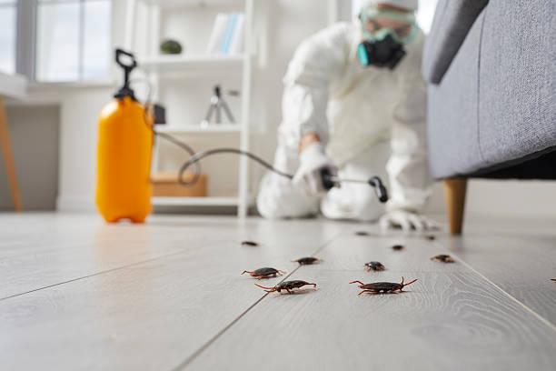 Post-Treatment Bed Bug Interceptor Monitoring in Cherry Hills Village